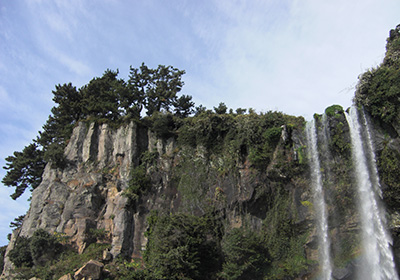 設立40周年記念旅行『済州島』